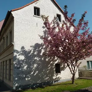 Hostel 404-hostel, Kolonia